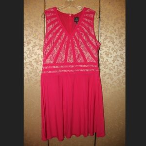 Adrianna Pappel Hot Pink Lace Fit & Flare Dress 14